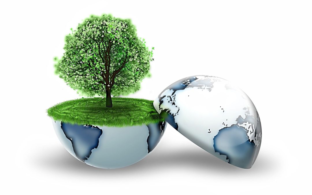 Protect Local Waterways by Prioritising Sewage Treatment Plants Maintenance, Maryborough, QLD