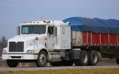 The Role of Refrigerated Transport Services Sydney NSW in Meeting Aussie Industry Standards