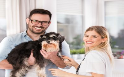 Why Local Pet Owners Choose Veterinary Surgeons Fairfield, NSW for Animal Health