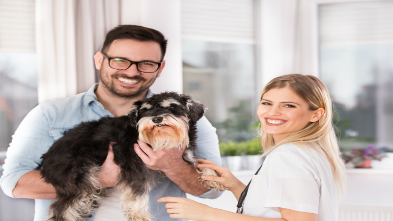 Why Local Pet Owners Choose Veterinary Surgeons Fairfield, NSW for Animal Health